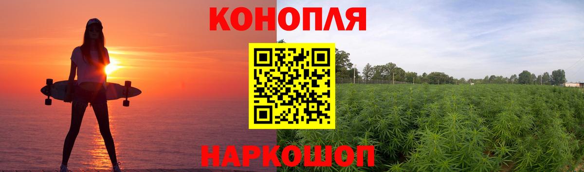 Канабис индика  Каннабис планчик  Бошки марихуана конопля  Вход с VPN  Чехов  Бошки Шишки White Widow 